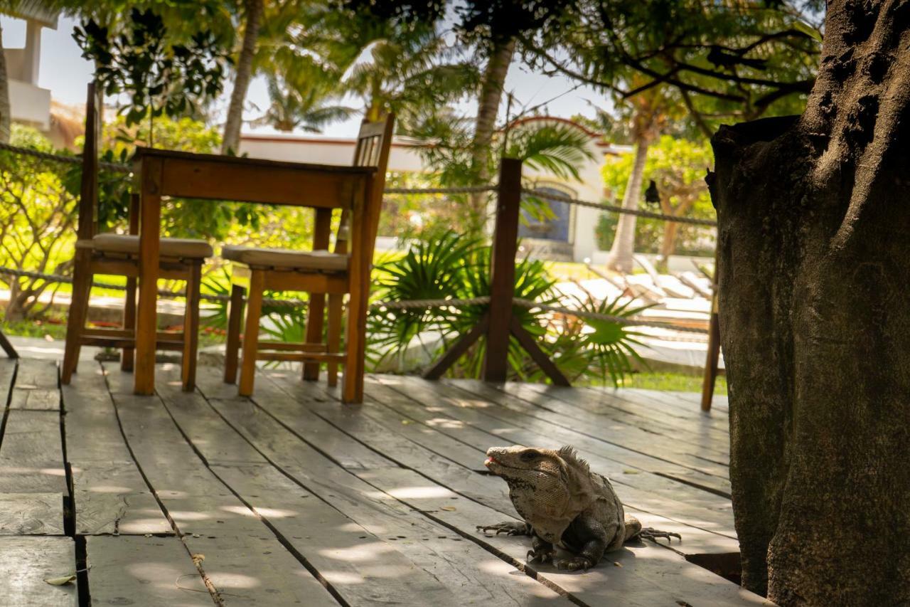 Marina Paraiso Isla Mujeres Hotel Exteriör bild